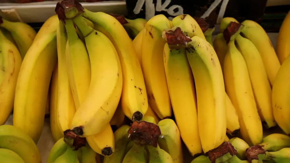 الموز.. أكثر الفواكه شيوعا في النظام الغذائي بالمكسيك