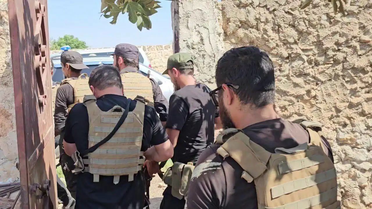 ضبط مزرعة للقنب في ريف حلب