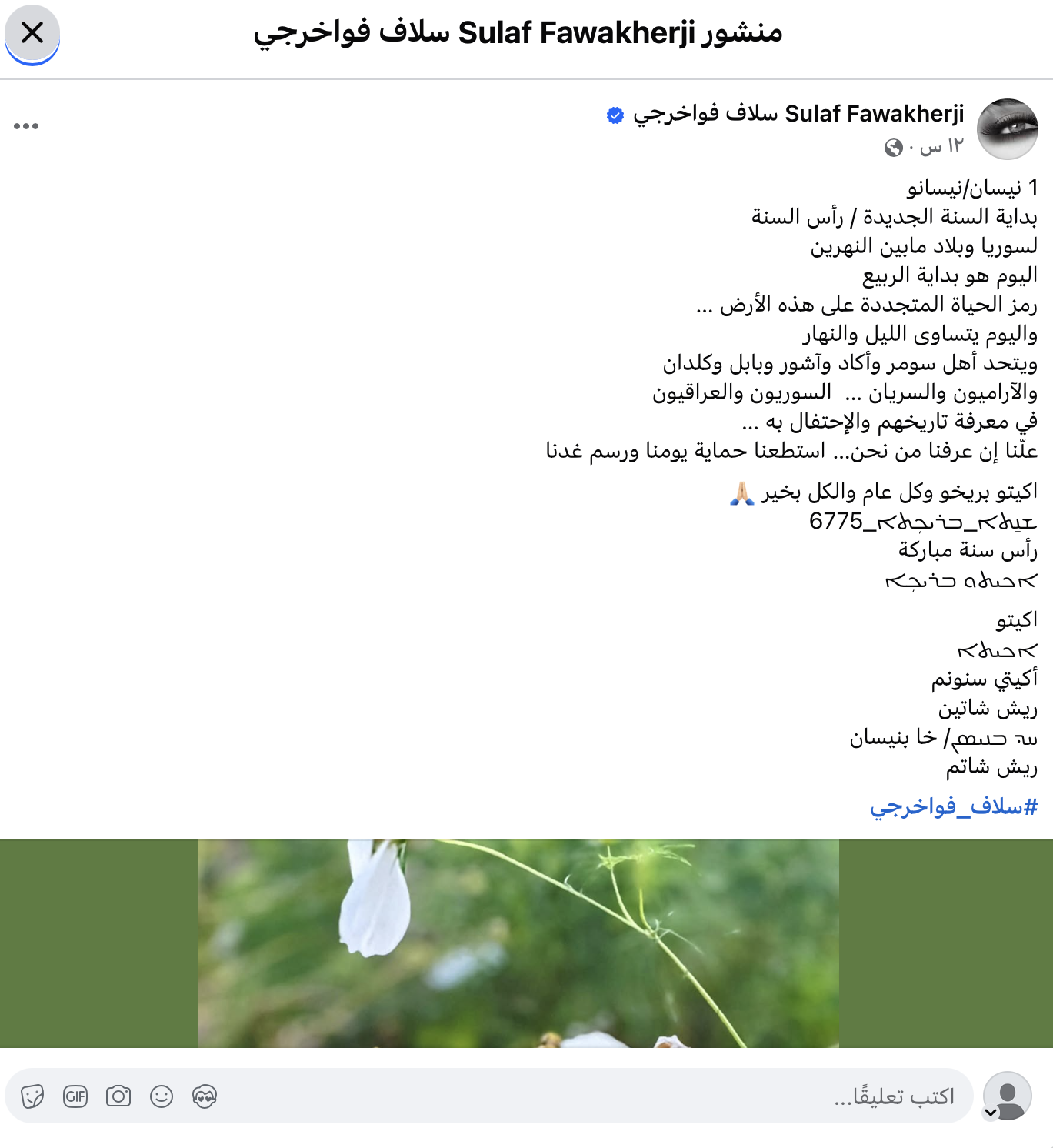 منشور سلاف فواخرجي