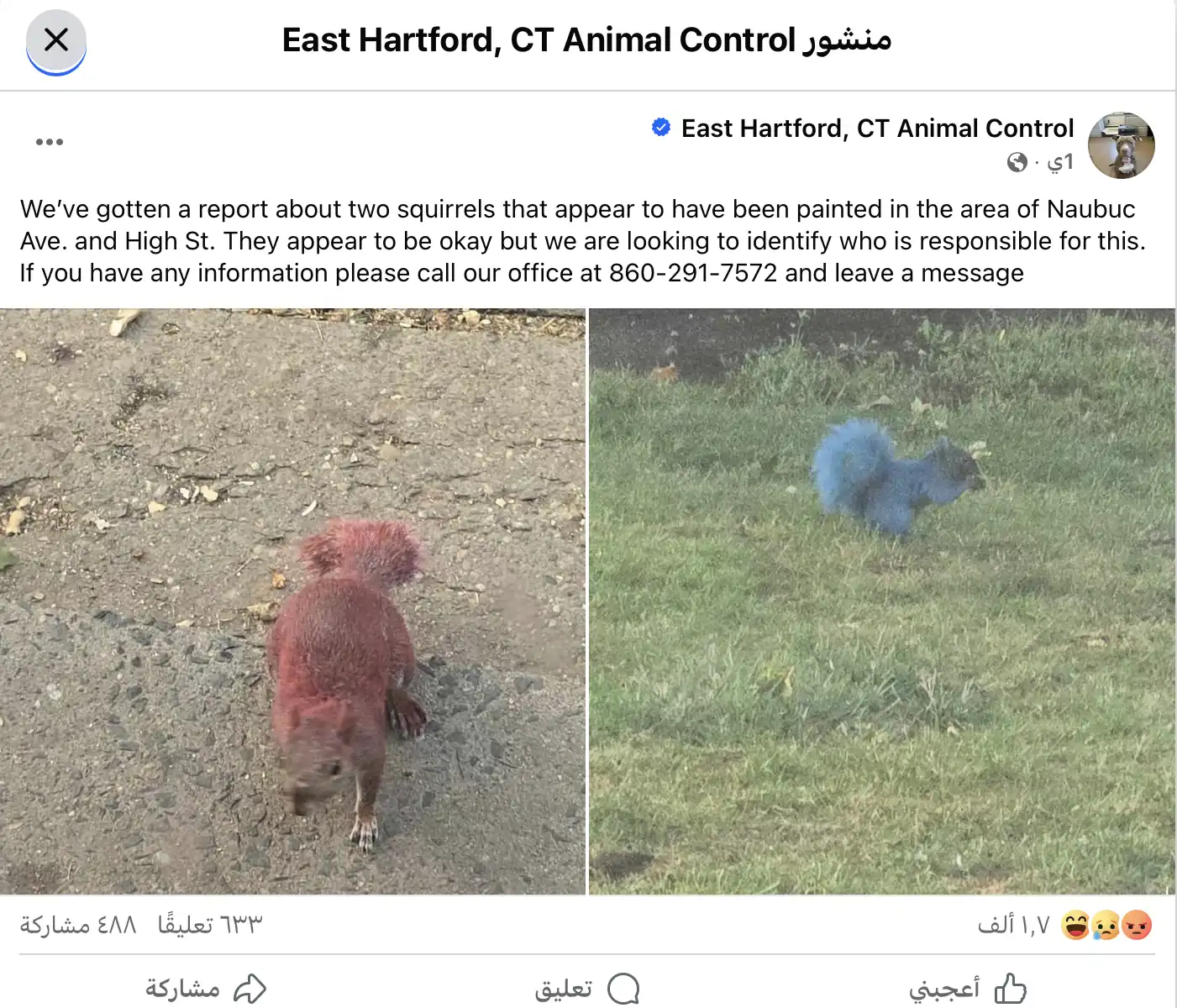 منشور الهيئة على فيسبوك