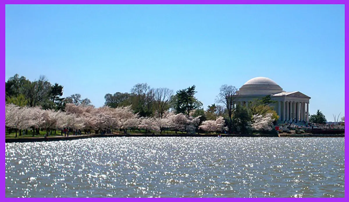 d21732b4-b741-435d-8b09-aa44108db826