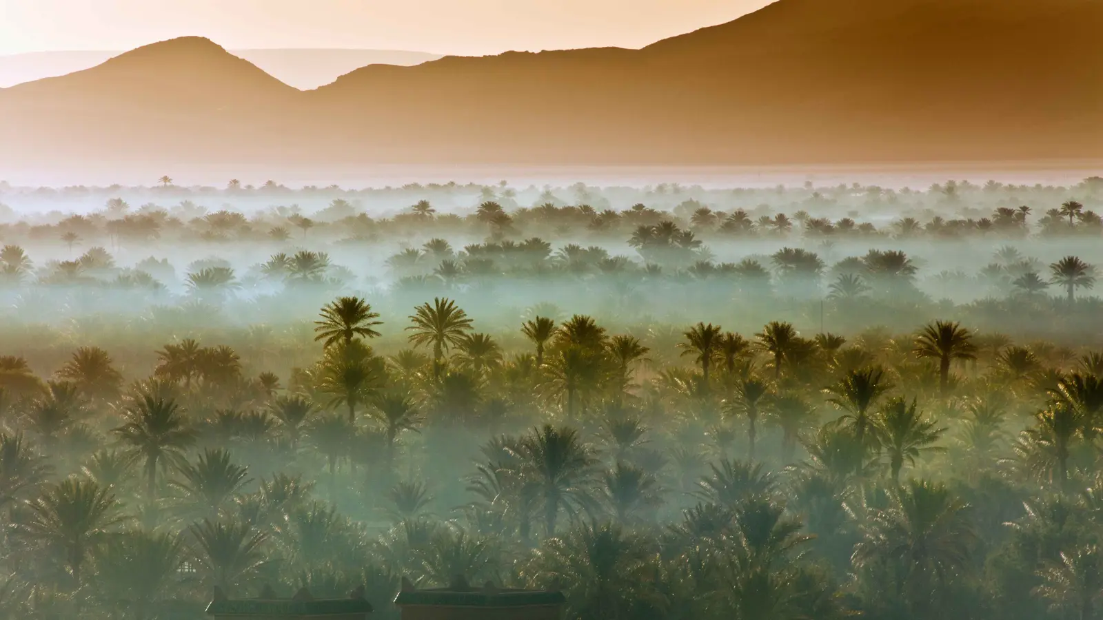 عمره 5 آلاف عام.. اكتشاف أكبر مجتمع زراعي بالمغرب (صور)