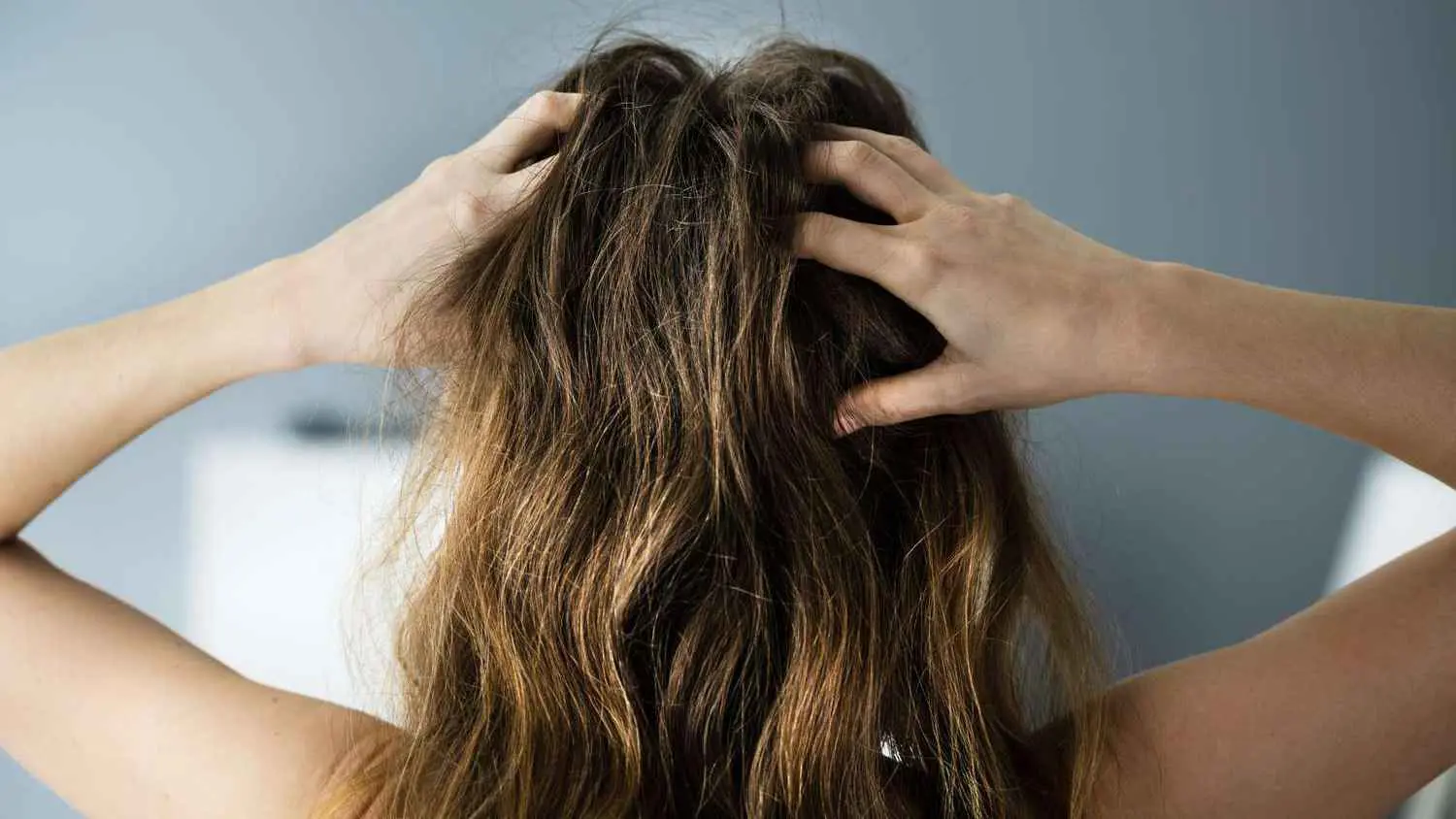 كيف تؤثر صحة أمعائك على تساقط شعرك؟