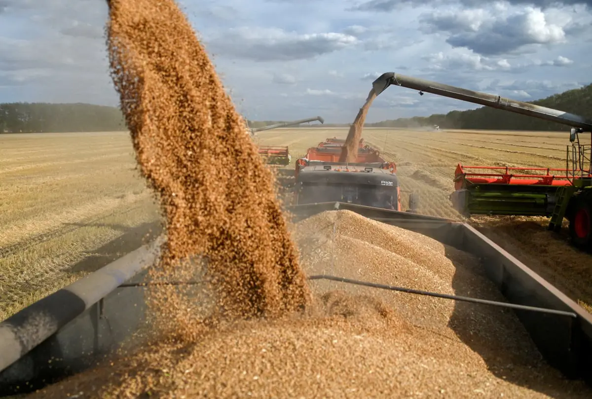 اجتماع مرتقب لبحث صادرات الحبوب والأسمدة الروسية
