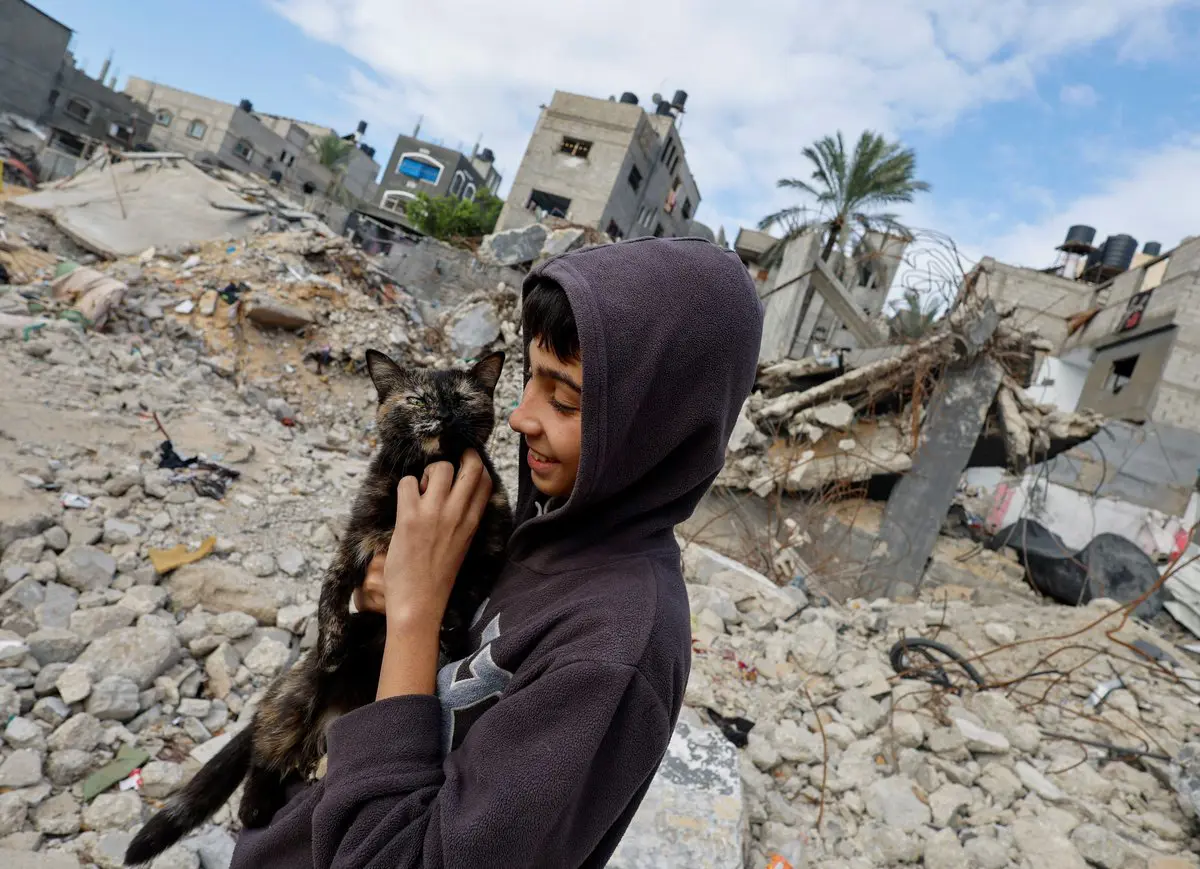 غزة مثالًا.. تحذيرات من بطء الاستجابة المناخية في مناطق النزاع