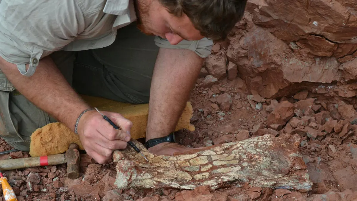 عاش قبل ملايين السنين.. علماء أرجنتينيون يعثرون على تنين الموت