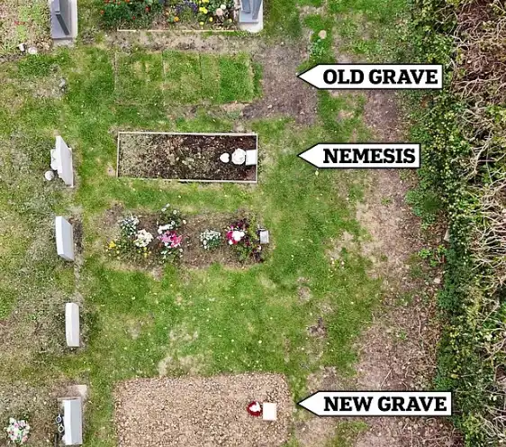 قبر الزوج وعدوه