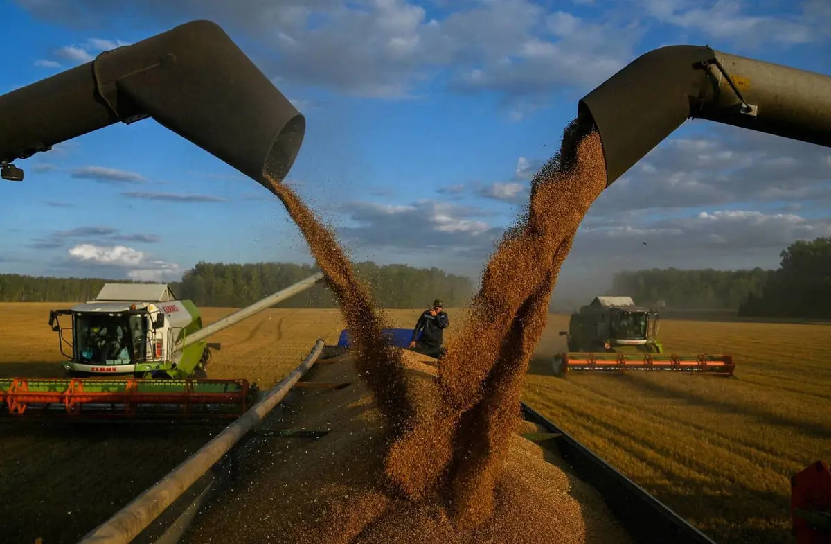 القمح الروسي "المجاني" يثير أزمة في عدة دول أفريقية