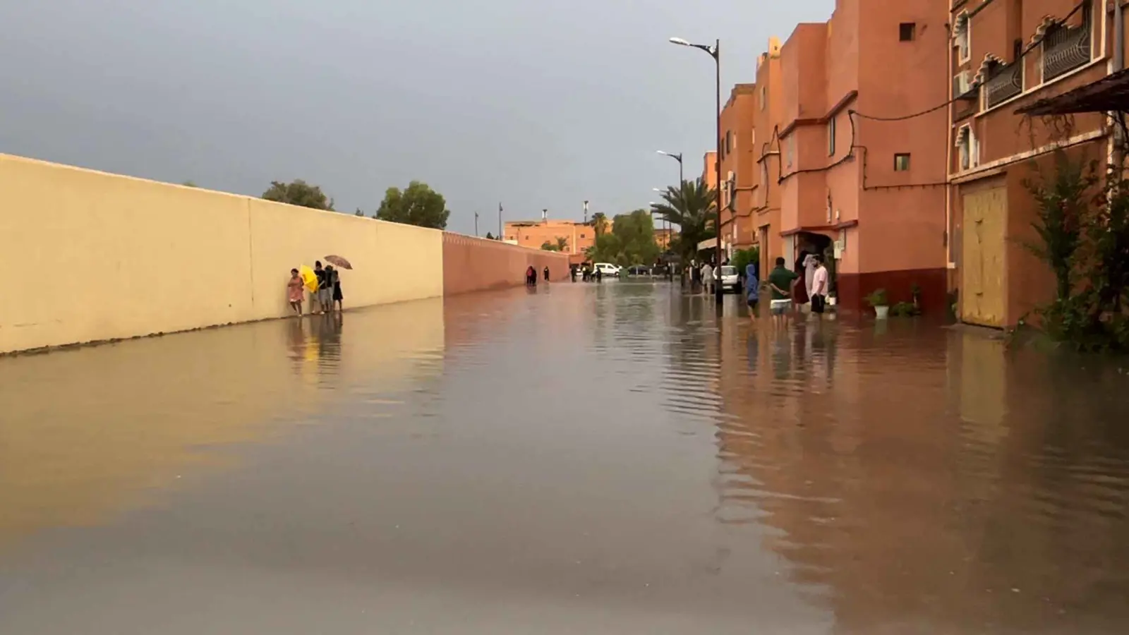 الأمطار الغزيرة تحيي واحات المغرب