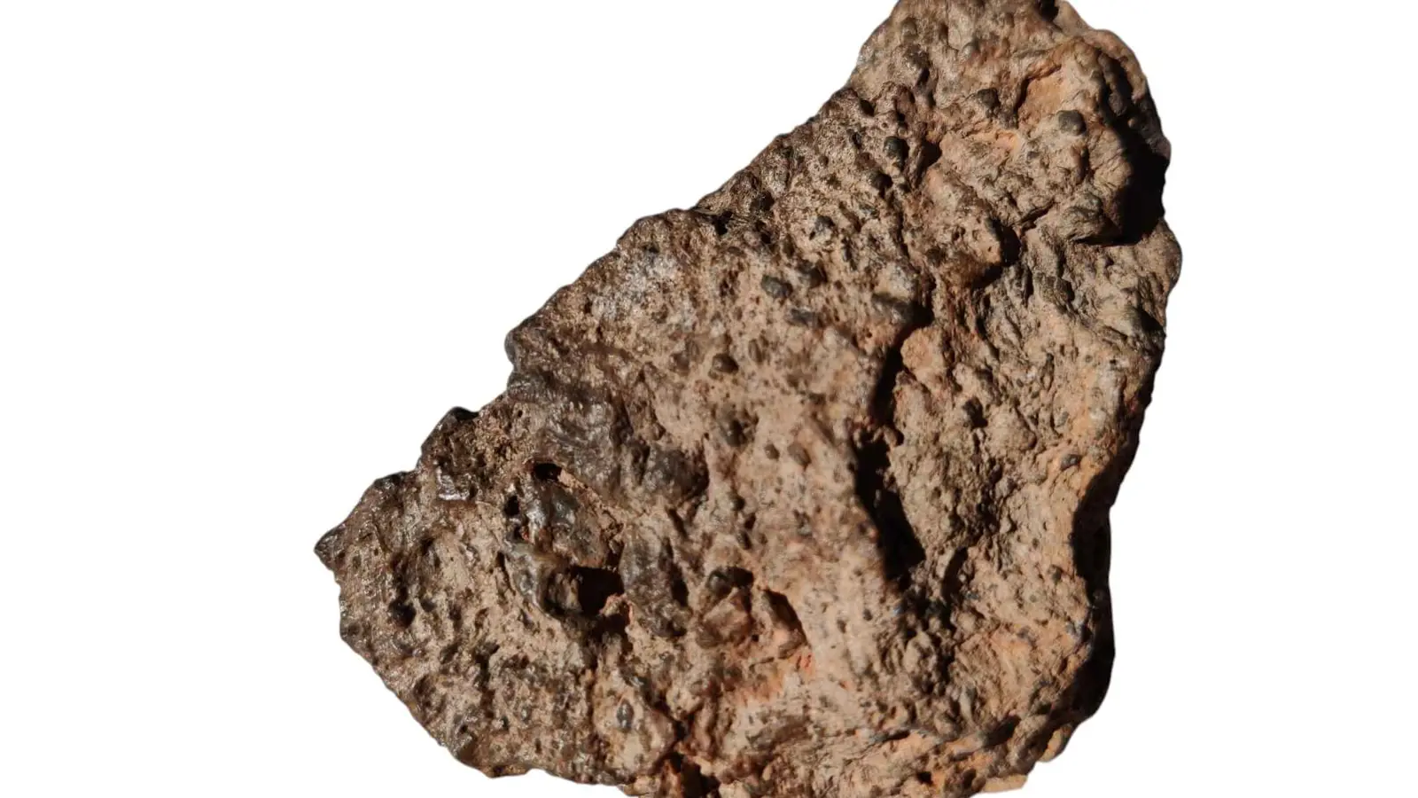 النيزك المكتشف 