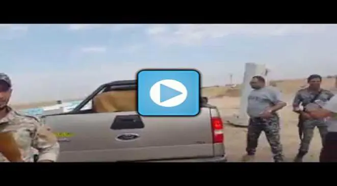 فيديو.. الأمن العراقي يصطاد أسدا