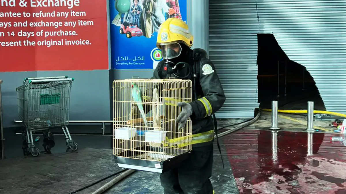 السعوديون يشيدون بجهود الدفاع المدني في إنقاذ الطيور من حريق الظهران