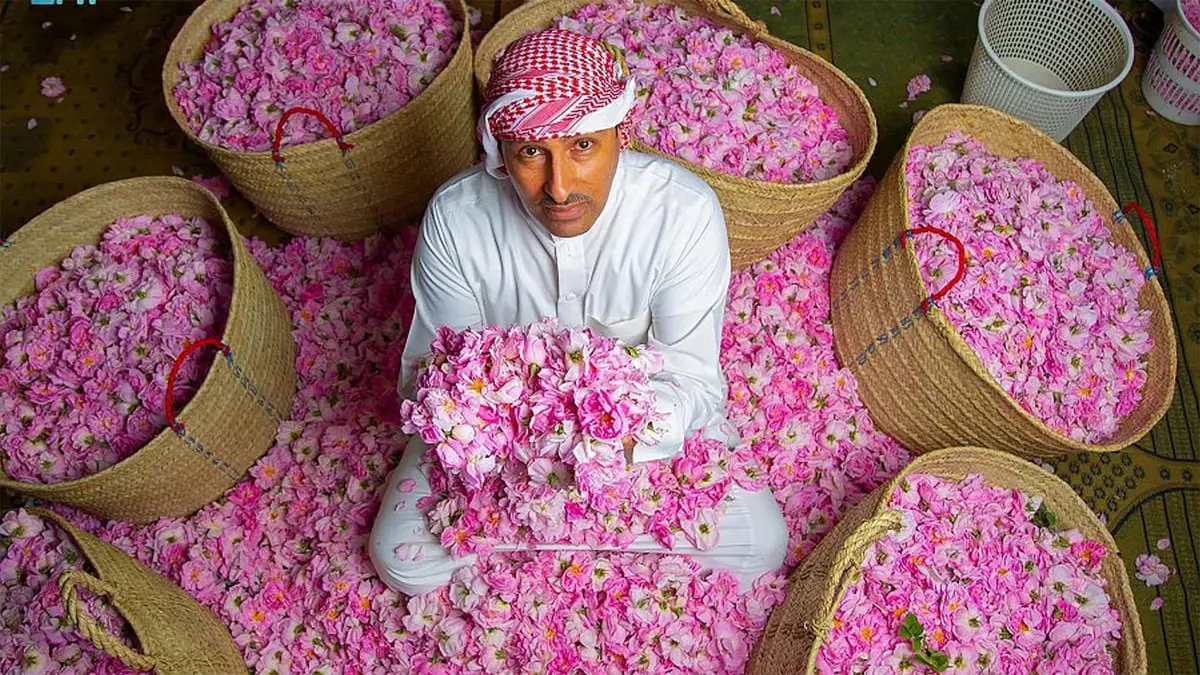 السعودية.. الورد يزين مدينة الطائف وموائد أهلها مع حلول رمضان في موسم القطاف