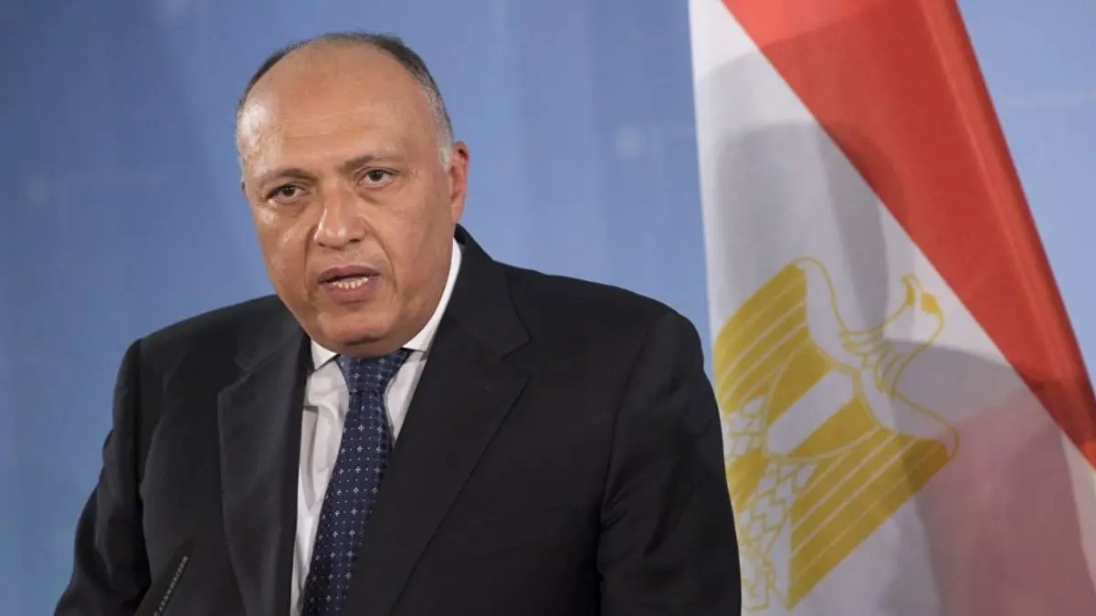 مصر ترد على تصريحات أردوغان بشأن وفاة مرسي