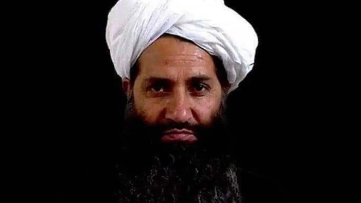 e9199fa4-6c09-40b7-aa7a-106b0ef3eae8