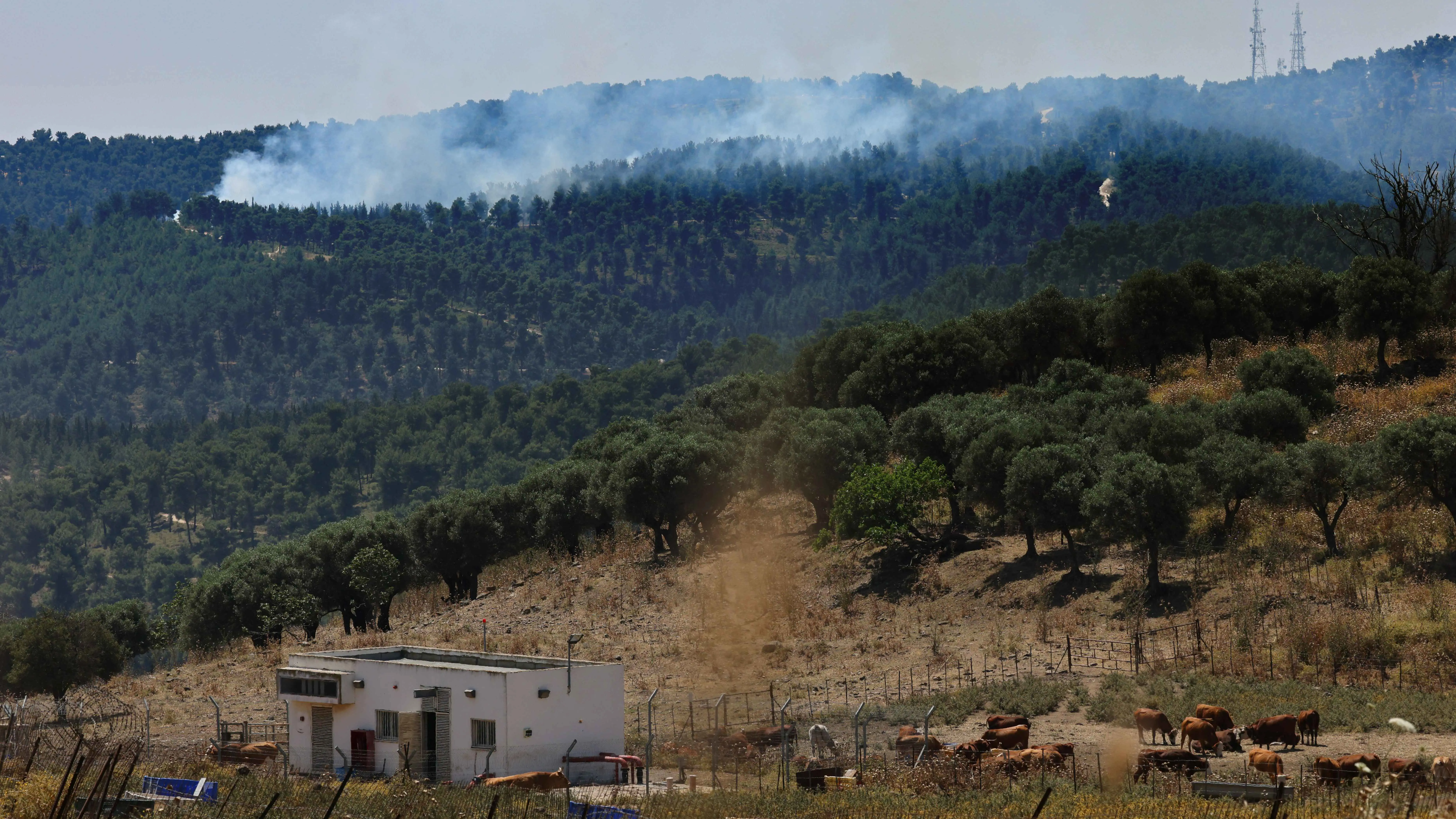 خلال ساعات.. عشرات الحرائق تلتهم أراضي سورية (صور)