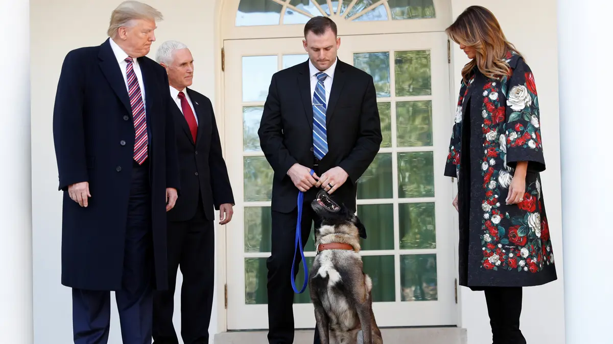ترامب يستقبل الكلب الذي ساعد في مطاردة زعيم داعش (صور وفيديو)