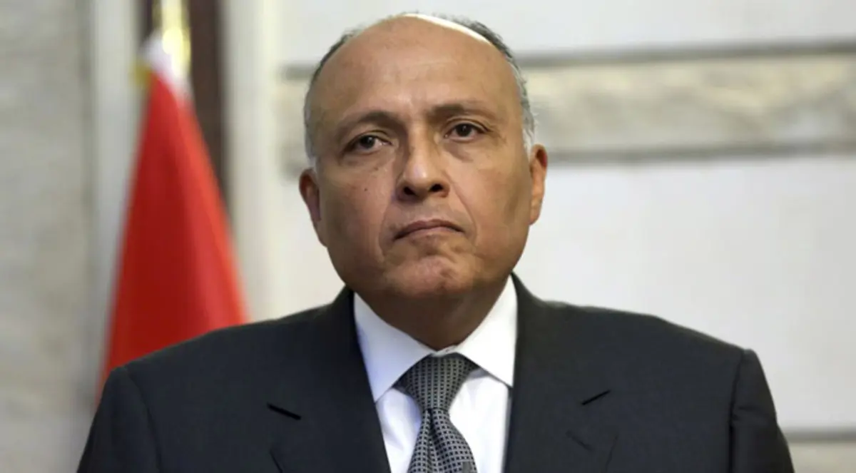 دعم فرنسي صيني لمصر بمجلس الأمن ضد الإرهاب بليبيا