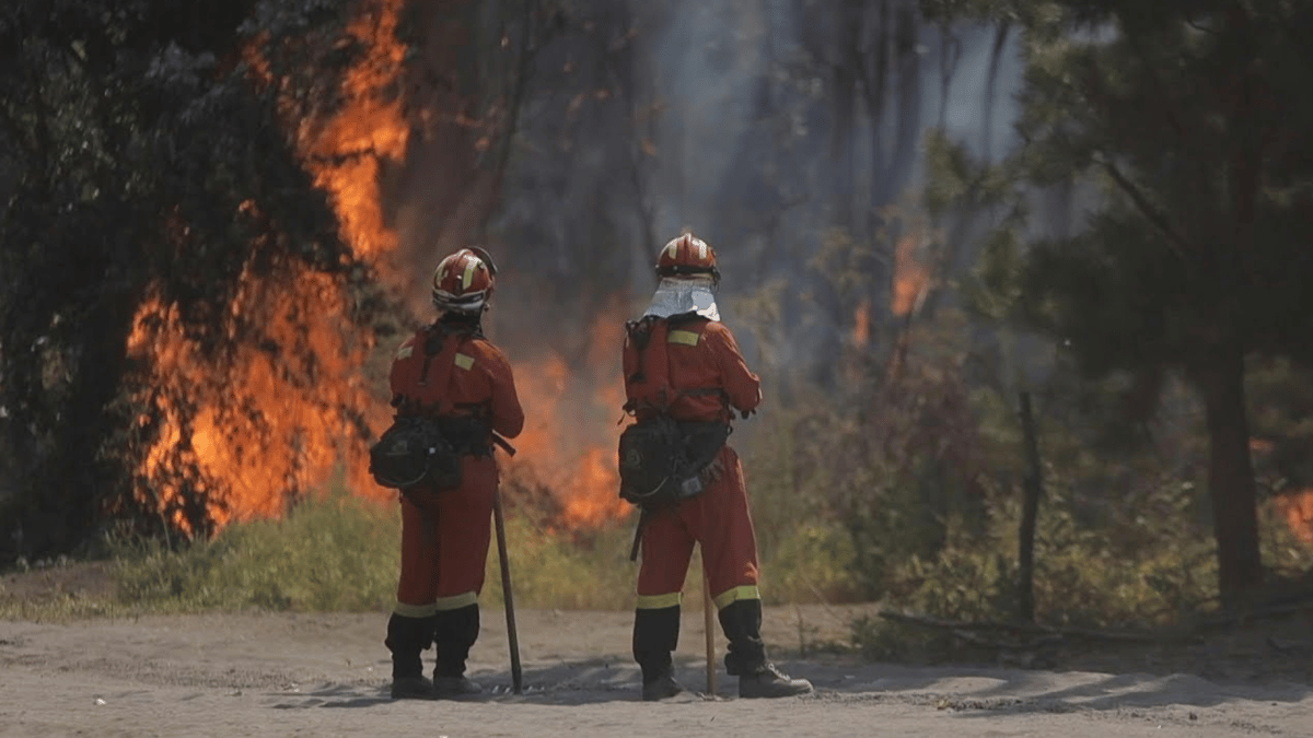حرائق الغابات في تشيلي تودي بحياة 51 شخصاً