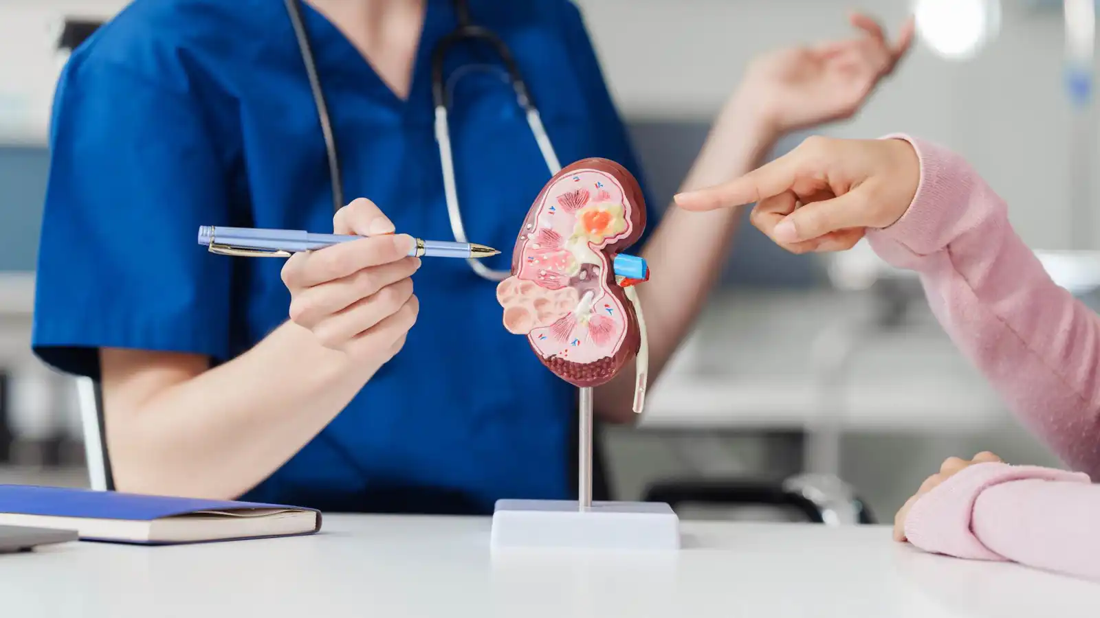5 أطعمة طبيعية تدعم صحة الكلى.. تعّرف عليها