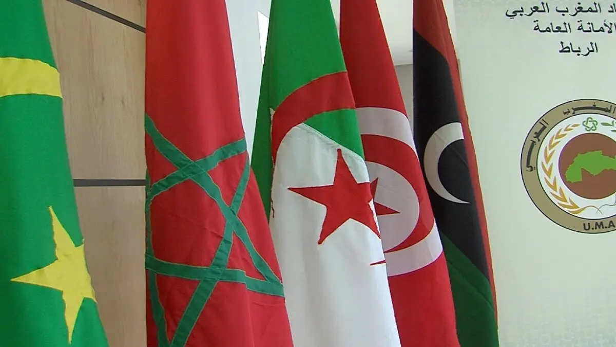 كيف تحاول تركيا التغلغل في دول المغرب العربي؟