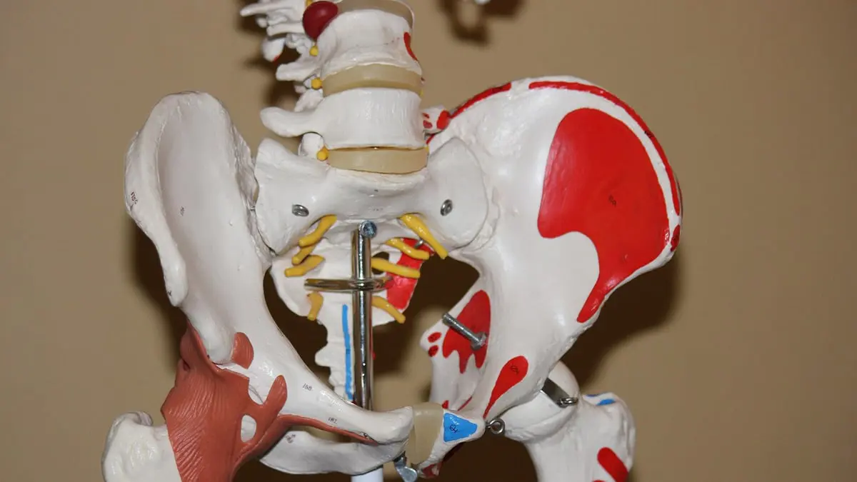 دراسة: الجراحة الروبوتية تقلل من مخاطر عمليات استبدال مفصل الورك