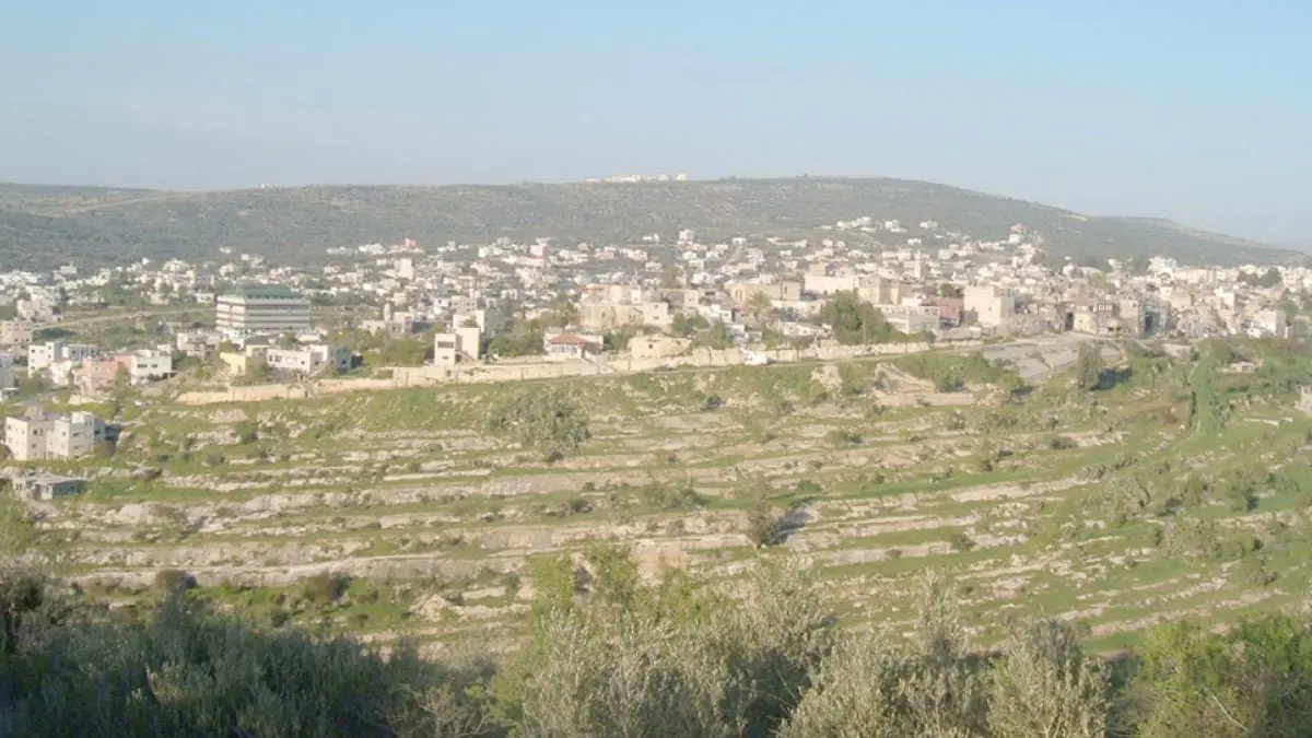 إسرائيل تنهب الغابات والمحميات الفلسطينية وتضمها للمستوطنات‎