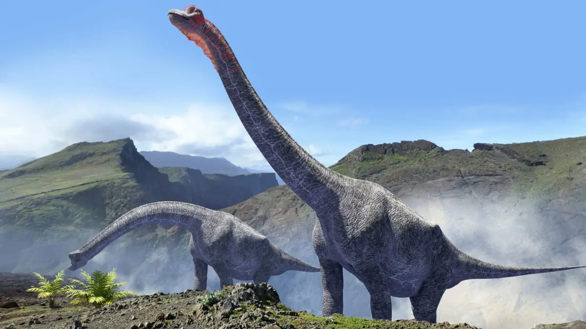 اكتشاف أكثر من ألف بصمة لديناصورات في تشيلي