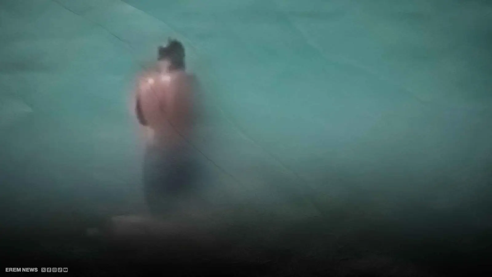 جريمة على الشاطئ.. محاولة إغراق كلب تُفجّر غضب اللبنانيين