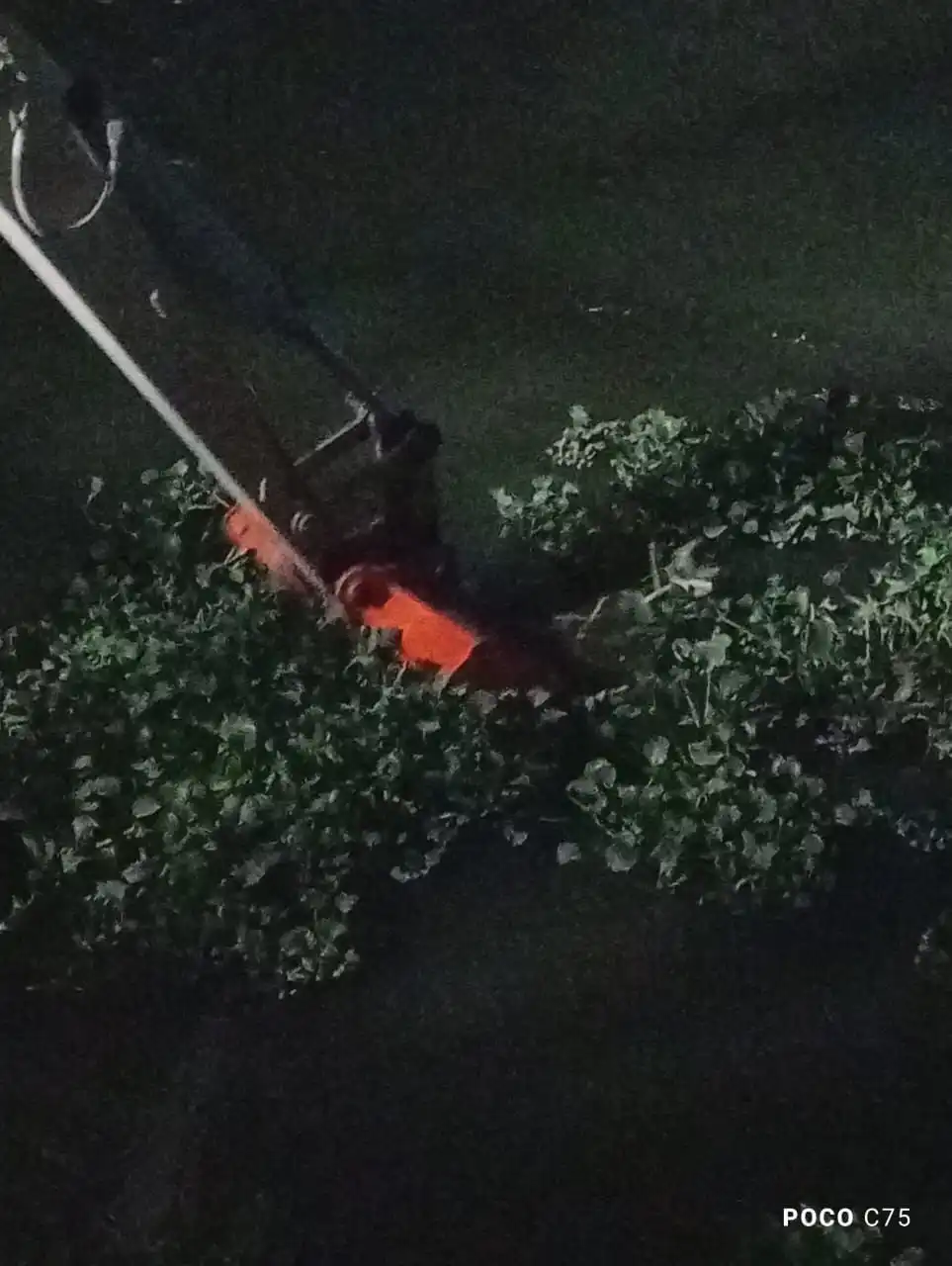 حملة حكومية لإزالة زهرة النيل من نهر الفرات