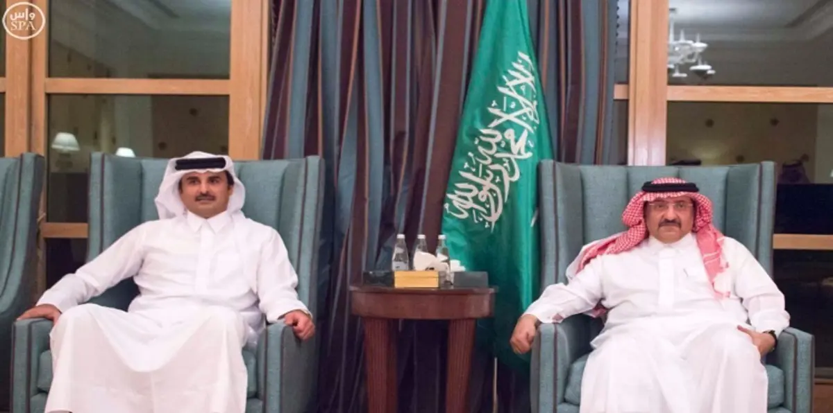 بن نايف والشيخ تميم يبحثان تطويق خطر داعش