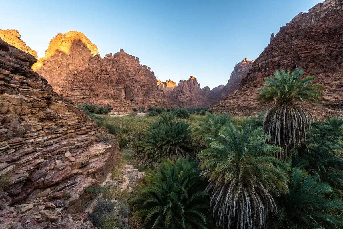 السعودية.. اكتشاف نقش أثري فريد يرتبط بلغة قوم ثمود (صور)