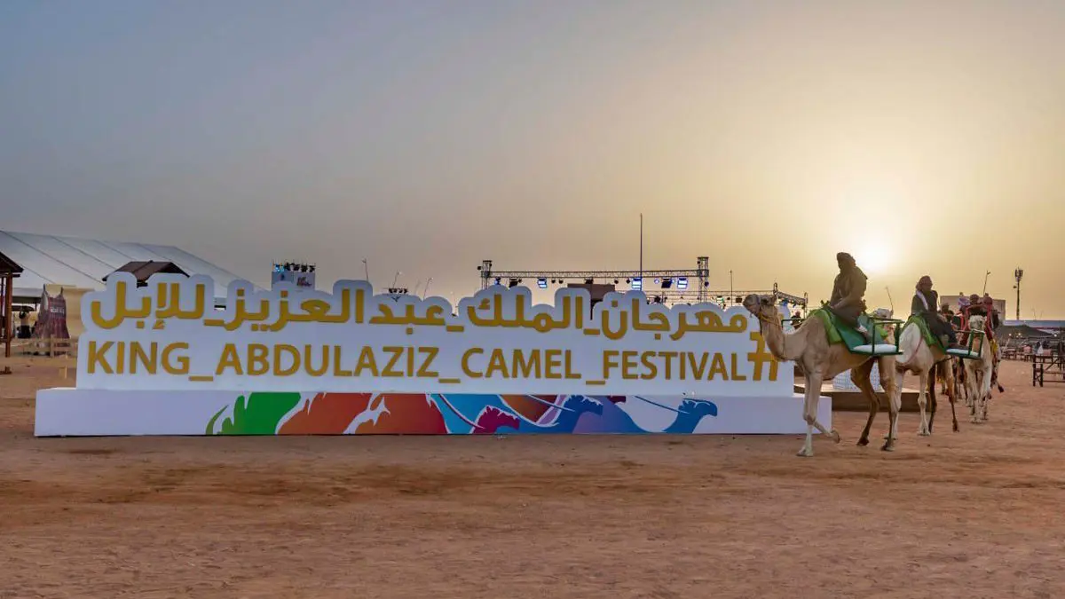 السعودية ترفع إحدى جوائز مهرجان الملك عبدالعزيز للإبل إلى مليون ريال