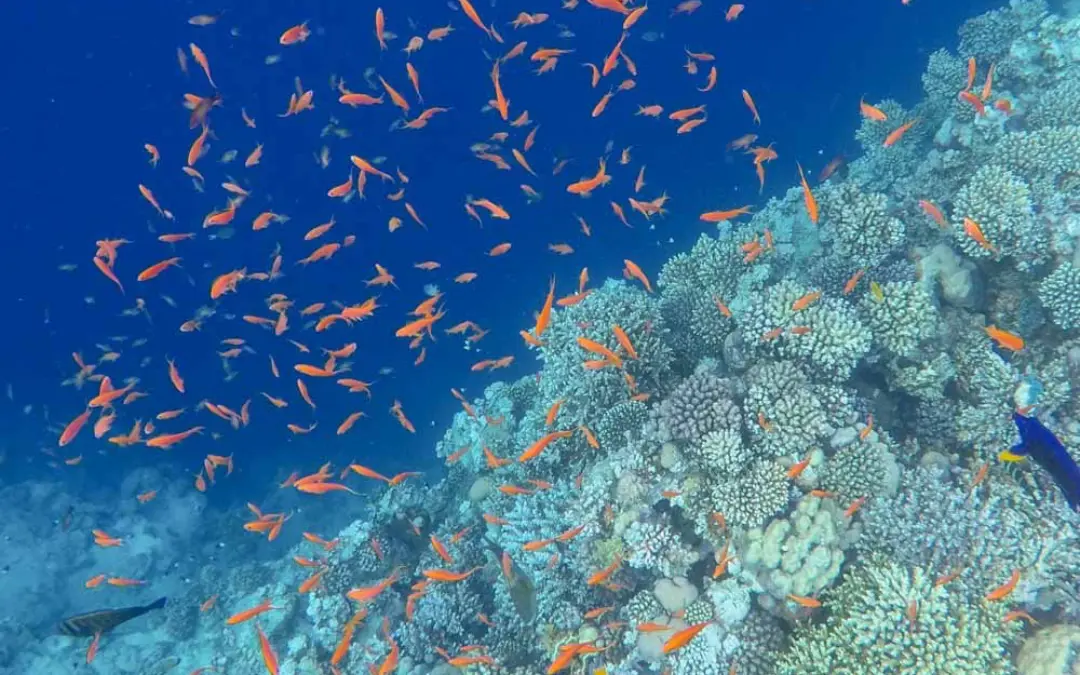 الحفرة الزرقاء