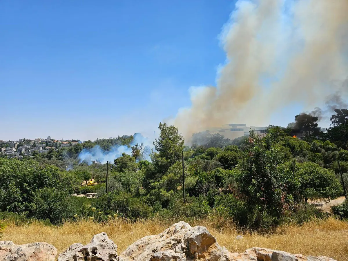 إخلاء "متحف إسرائيل" بعد نشوب حريق بجواره (فيديو)