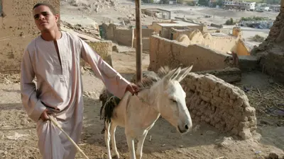 رجل مع حماره في مصر