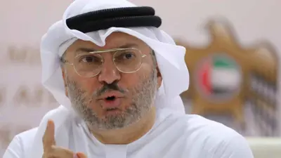 الدكتور أنور قرقاش
