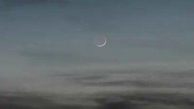 أرشيفية 