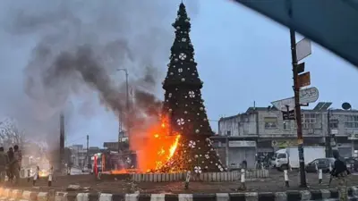 شجرة الميلاد في مدينة السقيلبية