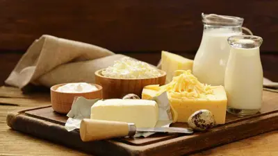 منتجات الألبان