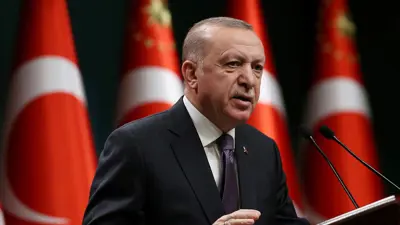 أردوغان يدعو أوكرانيا وروسيا إلى وقف فوري للقتال