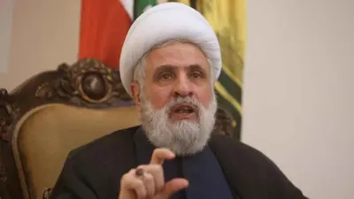 نعيم قاسم