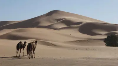صحراء (تعبيرية)