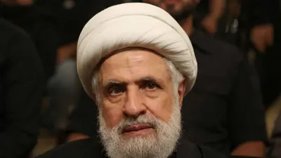نعيم قاسم 