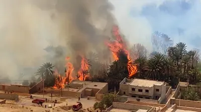 حريق هائل في أكبر واحة مغربية ومطالبات بتدخل الجيش (فيديو)