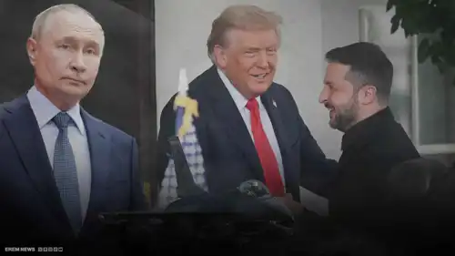 فيديو