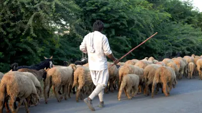 تعبيرية 