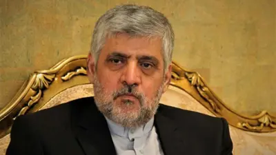 محمد رضا شيباني، مبعوث وزير الخارجية الإيراني