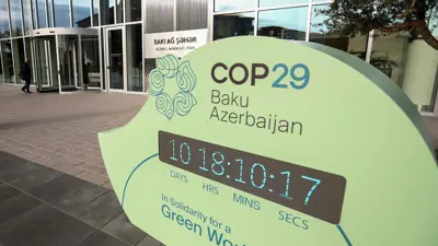 كوب 29