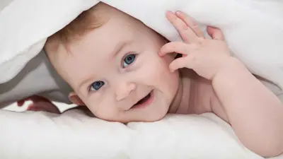 مولود